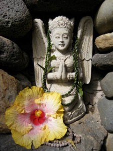 asianartmaui.com/praying hibiscus